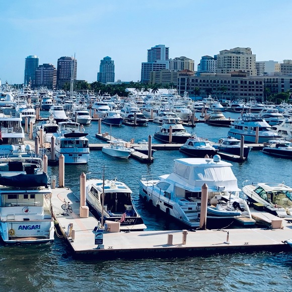 Fleur de Lisa Luxe Look: Designer Style - Picture 6 of 8